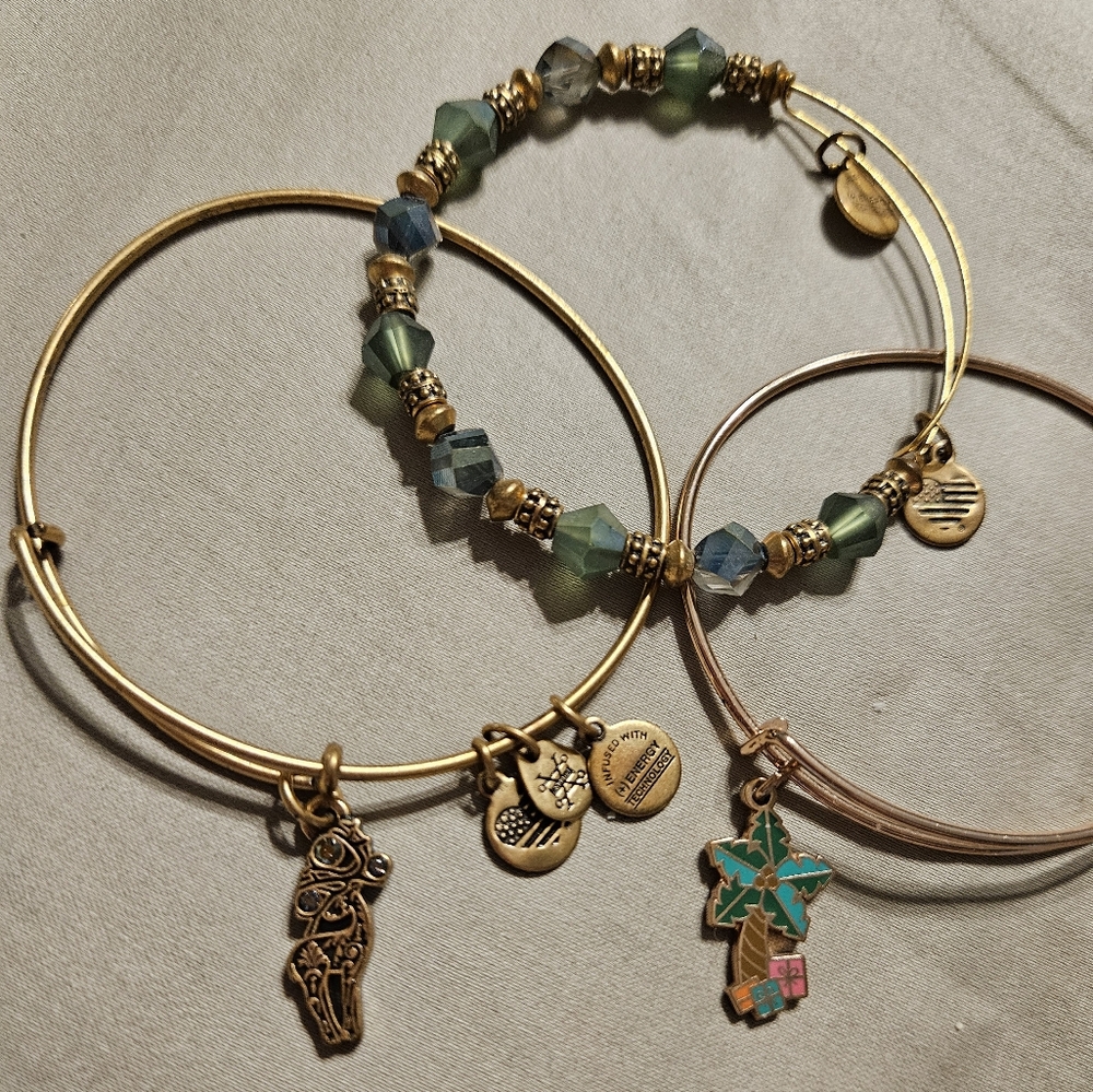 Alex and Ani Bracelets (3)Christmas